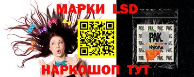 PSILOCYBIN Гатчина