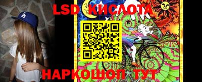 PSILOCYBIN Гатчина