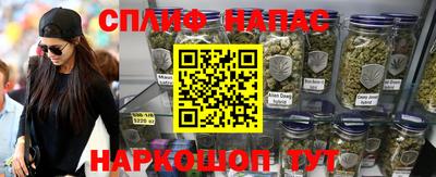 PSILOCYBIN Гатчина