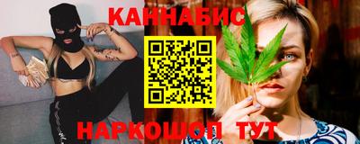 PSILOCYBIN Гатчина