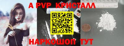 PSILOCYBIN Гатчина
