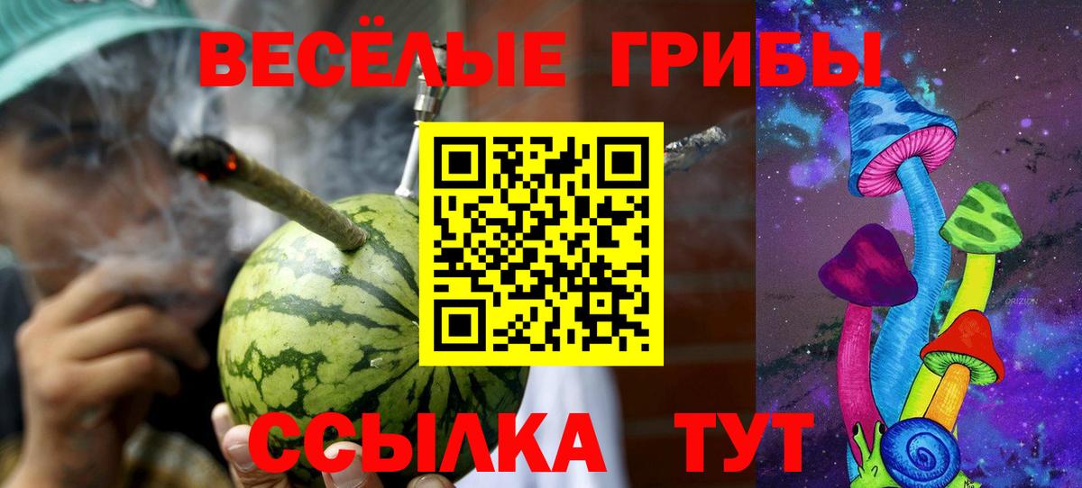 Псилоцибиновые грибы Magic Shrooms  Вход с VPN  Псилоцибиновые грибы Magic Shrooms  дарнет шоп  Новодвинск 
